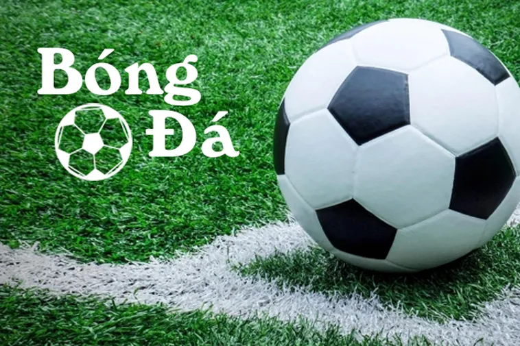 Phân Biệt Bóng Trong Cuộc Và Bóng Ngoài Cuộc Chuẩn Xác Nhất
