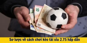Bắt Mạch Cách Chơi Kèo 2.75 Đỉnh Cao Cho Cược Thủ Săn Kèo Thơm