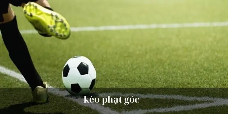 Hướng Dẫn Cách Chơi Kèo Phạt Góc Bóng Đá Chi Tiết Dễ Thắng