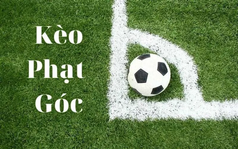 Hướng Dẫn Cách Chơi Kèo Phạt Góc Bóng Đá Chi Tiết Dễ Thắng