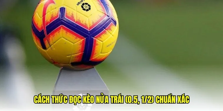 Bật Mí Cách Chơi Kèo Chấp 0.5 Cực Chuẩn Cho Dân Chơi Bóng Đá