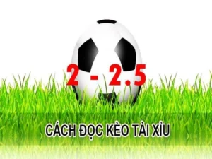 Giải Mã Kèo 2.25 - Cách Chơi Tài Xỉu 2 Trái Rưỡi Chuẩn Xác Nhất