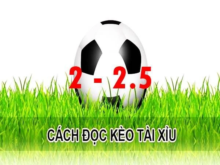 Giải Mã Kèo 2.25 - Cách Chơi Tài Xỉu 2 Trái Rưỡi Chuẩn Xác Nhất