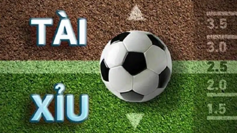 Giải Mã Kèo 2.25 - Cách Chơi Tài Xỉu 2 Trái Rưỡi Chuẩn Xác Nhất