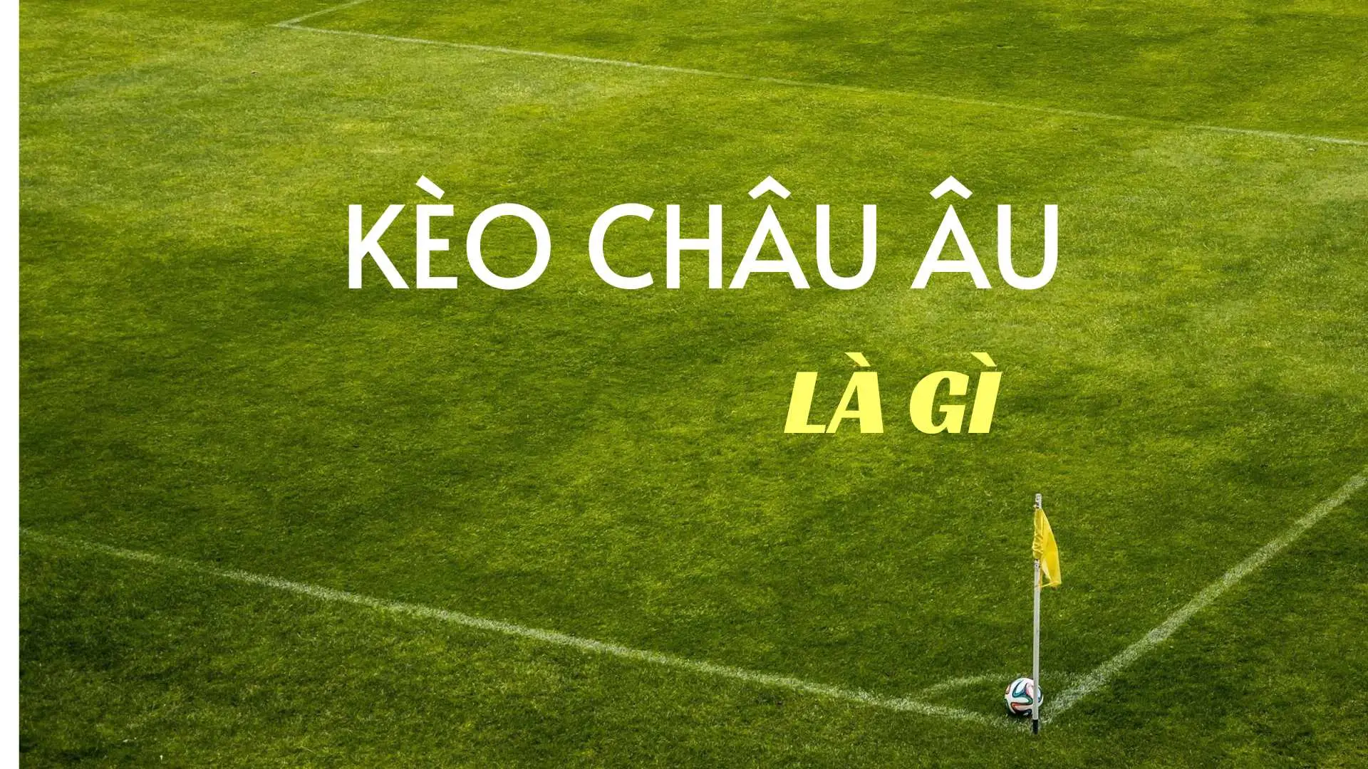 Bí Kíp Soi Cách Chơi Kèo Châu Âu Chuẩn Xác Từ Cao Thủ