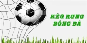 Bí Kíp Đánh Kèo Rung Bóng Đá Đỉnh Cao Giúp Anh Em Hốt Bạc